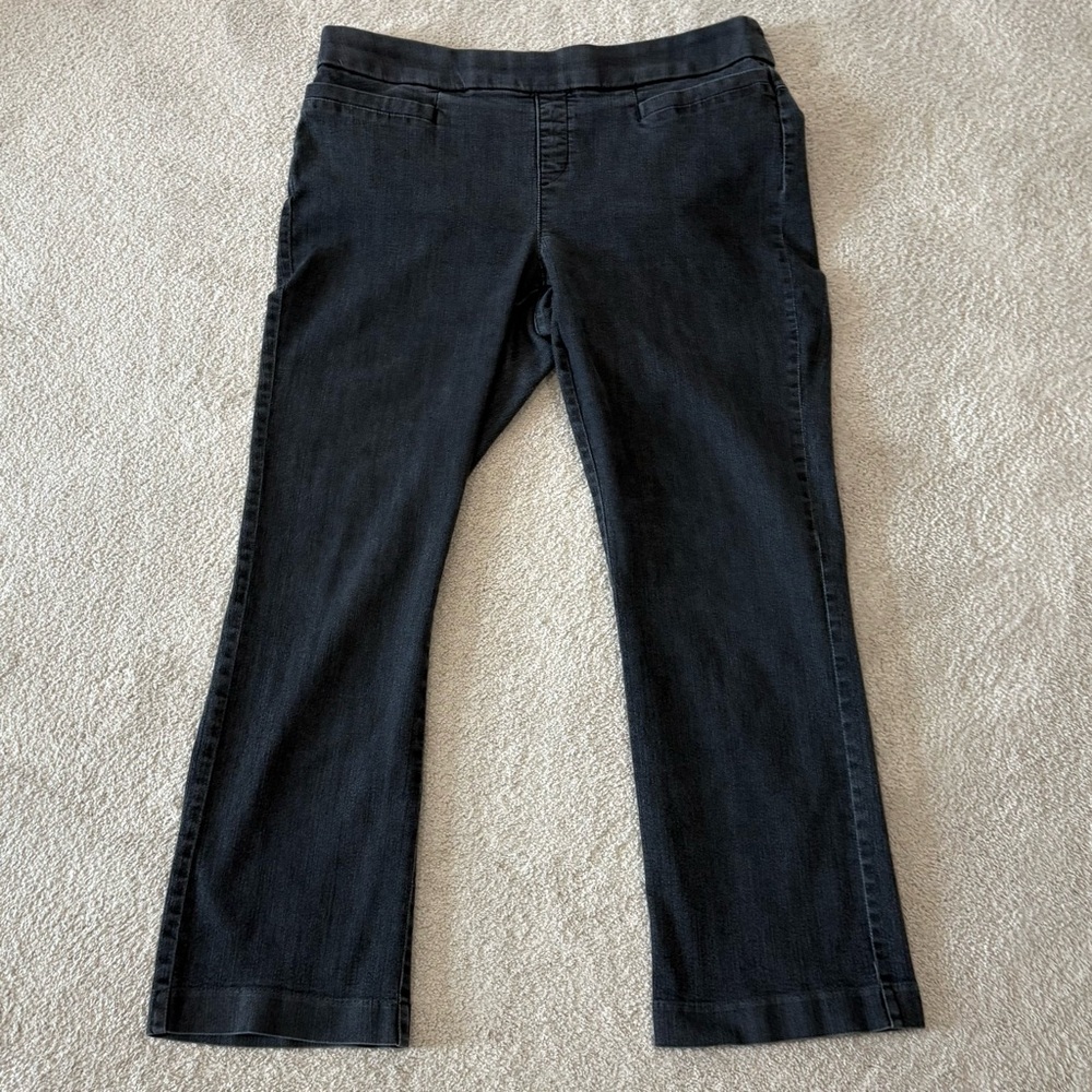 Lee Brand pull-on Straight Leg Elastic Waist Denim Jeans Women 16P